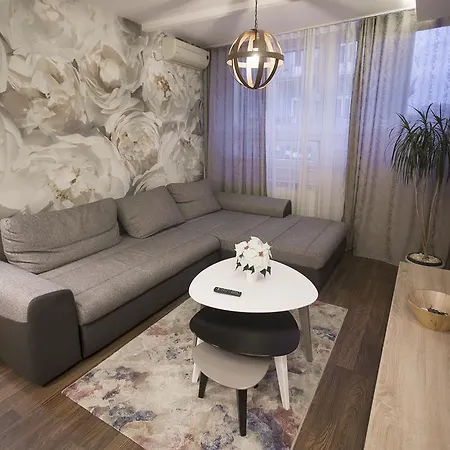 Tom&jerry * Belgrado